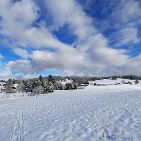 Gemuetliche Ferienwohnung Fuer 4 Gaeste In Schoenwald Schönwalde Dış mekan fotoğraf